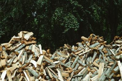 What is The Benefit of Recycling Wood?